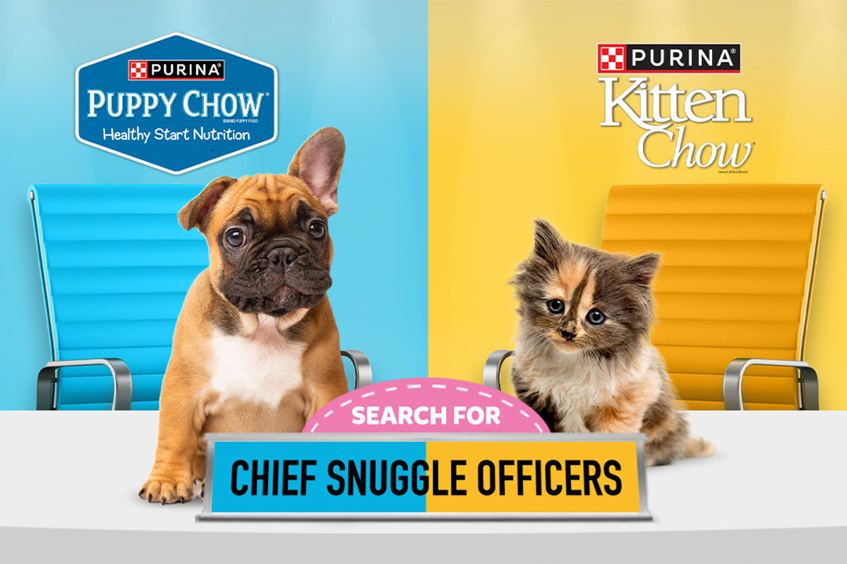 Purina searches for Chief Snuggle Officers